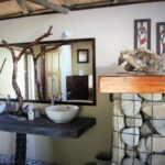 Luxury Tented Lodge in a Private Game Reserve Safari - Safarilife