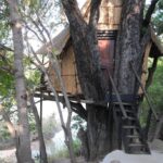 Lodge-treehouse safari in greater Kruger - SafariLife