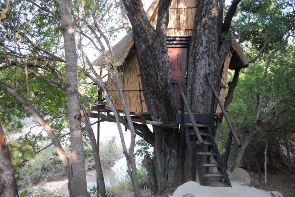 Lodge-treehouse in greater Kruger park - Safarilife - kruger park safari