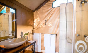 Sabi Sand Safari - SafariLife - Umkumbe Bush Lodge Standard Tent Bathroom