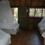 Lodge-treehouse safari in greater Kruger - SafariLife