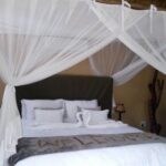 Luxury Tented Lodge in a Private Game Reserve Safari - Safarilife