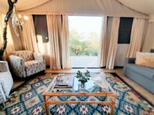 Sabi Sand Safari - SafariLife - Umkumbe Bush Lodge