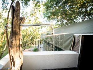 Sabi Sand Safari - SafariLife - Umkumbe Bush Lodge