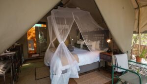 Sabi Sand Safari - SafariLife - Umkumbe Bush Lodge Standard Tent