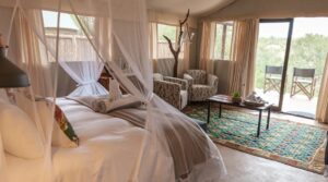 Sabi Sand Safari - SafariLife - Umkumbe Bush Lodge