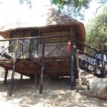 Lodge-treehouse safari in greater Kruger - SafariLife