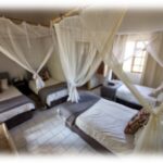 Lodge-treehouse safari in greater Kruger - SafariLife - Luxury Tented Lodge in a Private Game Reserve Safari