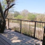 Lodge-treehouse safari in greater Kruger - SafariLife