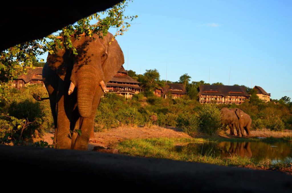 Victoria Falls Safari Lodge