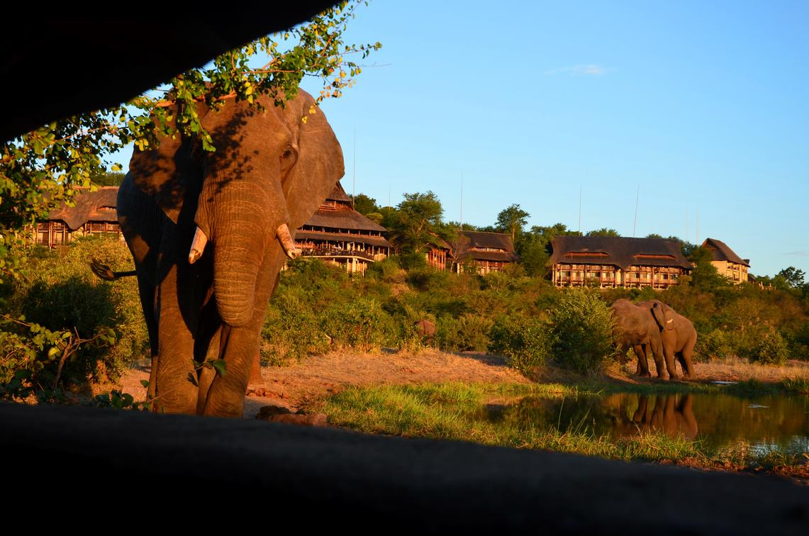 Victoria Falls Safari Lodge
the Accommodation Options Available in Kruger National Park?
